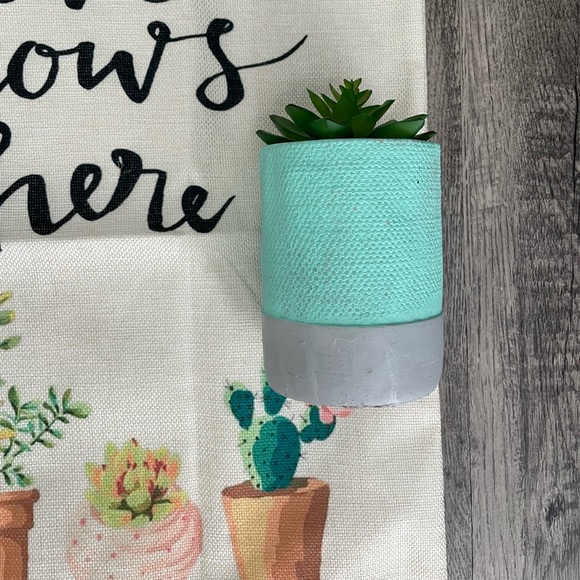 “Love Grows Here” Cactus Pillowcase w/ Cactus Decor - Picture 5 of 6